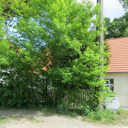 Fischerhaus Am See Berlin Extérieur photo